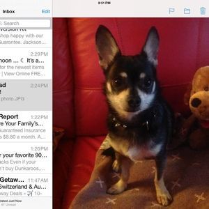 Meet your Posher, Jonnie